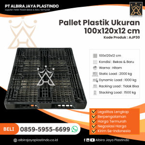 Pallet Plastik Bekas/Baru Ukuran 100x120x12 cm - AJP30